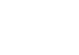 Wildwood_Customs_logo_white_textured